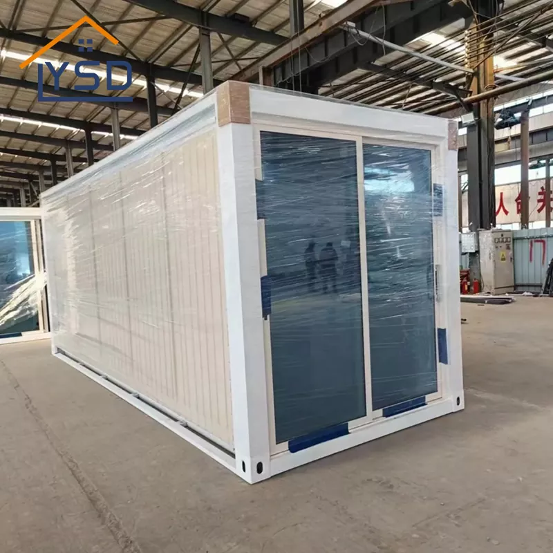 Luxury Style of 20ft Container House